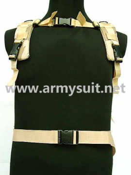 3P Molle Assault Pack Desert Camo